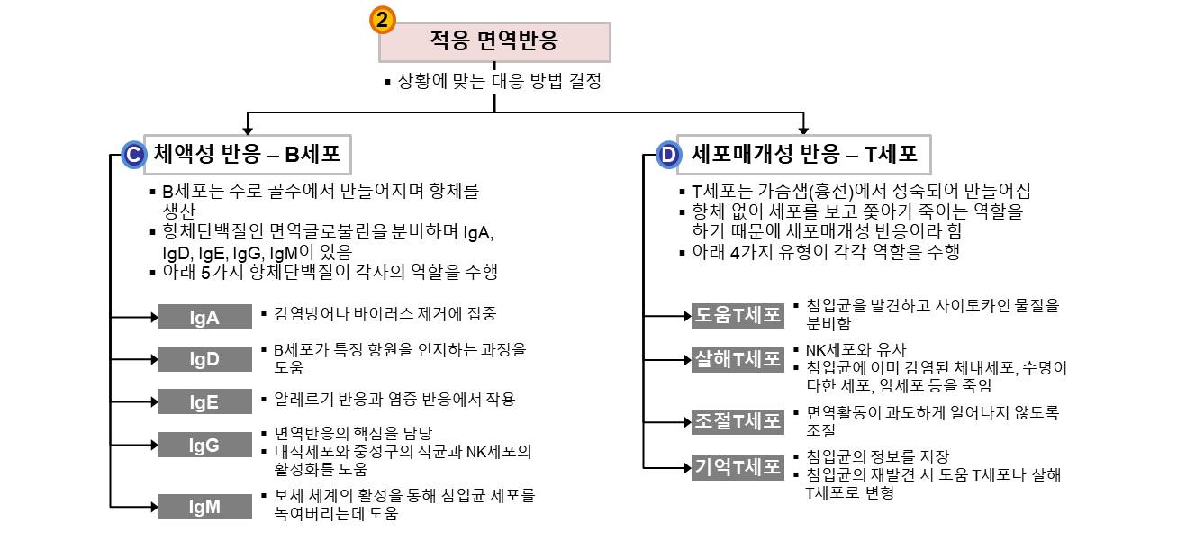 질의응답